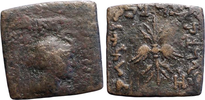 Demetrius III of Bactria obv