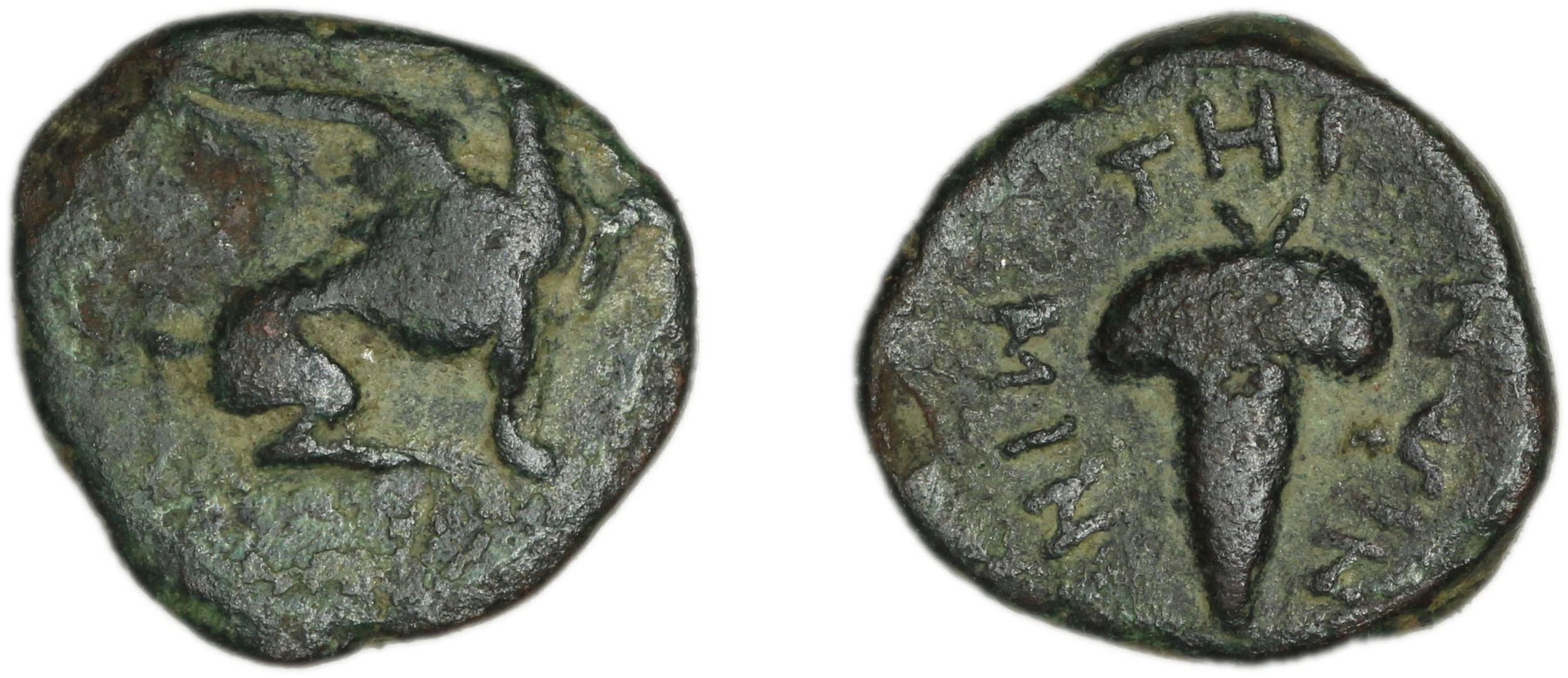 аверс Teos Kinns 1980 Period I.2, AE 8