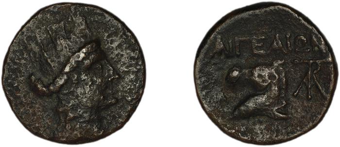 coin rev
