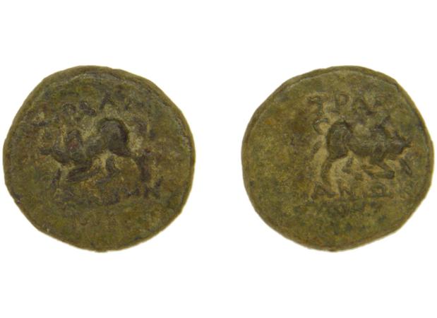 Tralles BMC Tralles 66-8, реверс, bm