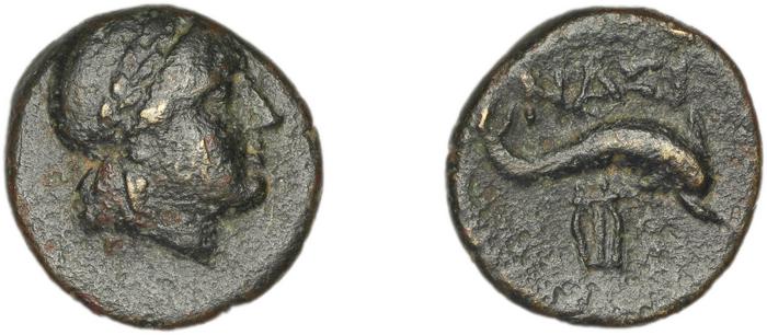 Nesos Stauber 1996 45-54, реверс, bm
