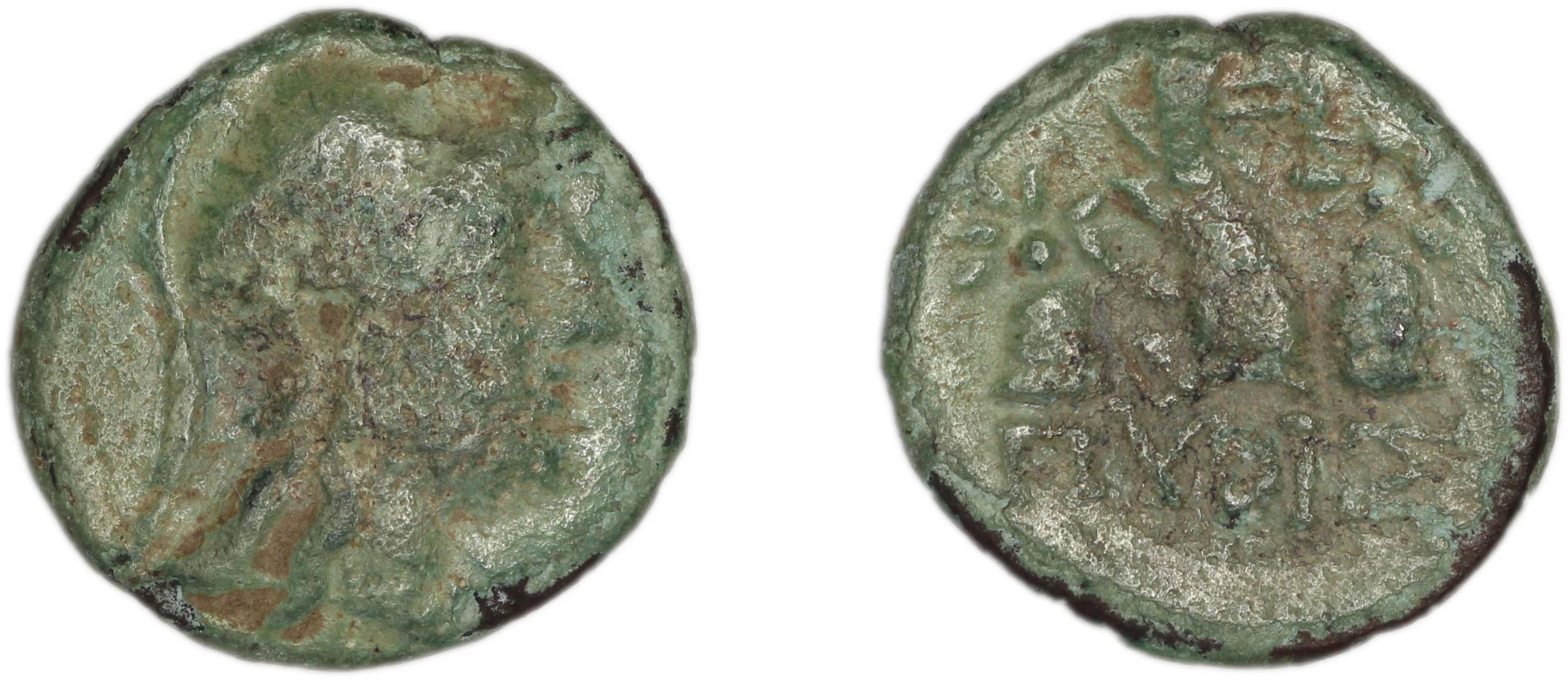 Phocaea SNG Copenhagen Phocaea 1036, аверс, bm
