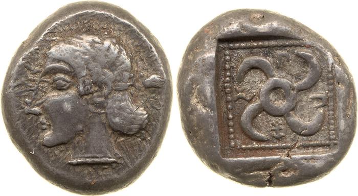 Sppntaza Phellus Hoff 2017 M250-1, реверс, bm