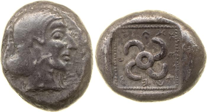 Teththiweibi Phellus Hoff 2017 M263-5, реверс, bm