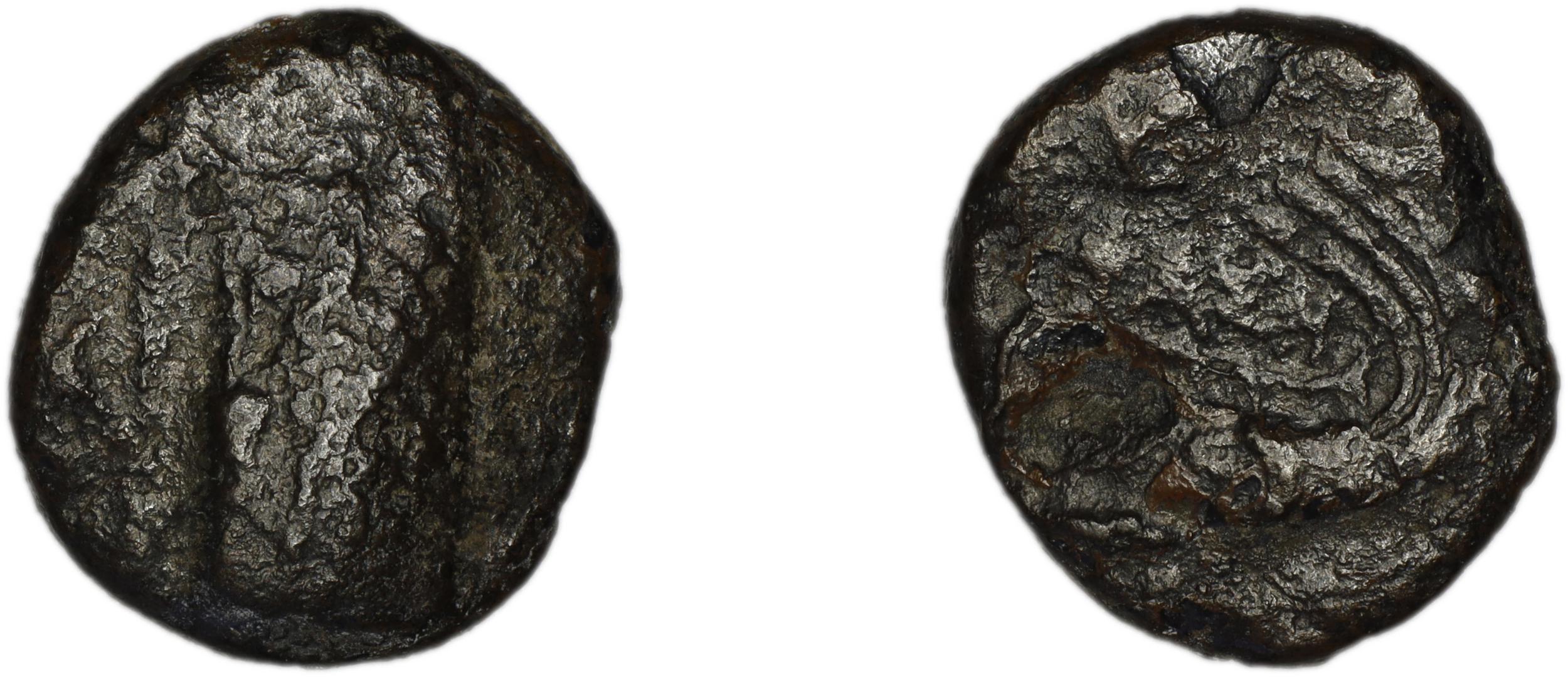 Phaselis Heipp-Tamer 1993 AE 1, аверс, bm