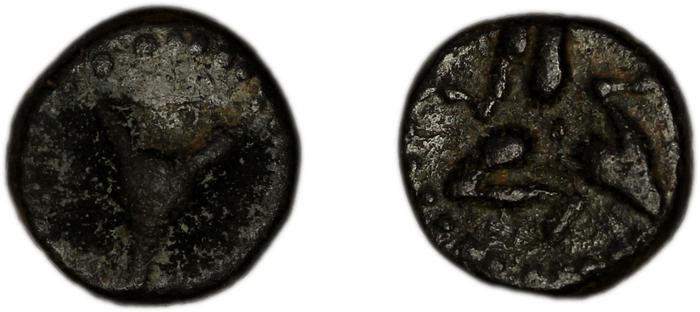 reverse Adada von Aulock 1977 32-36