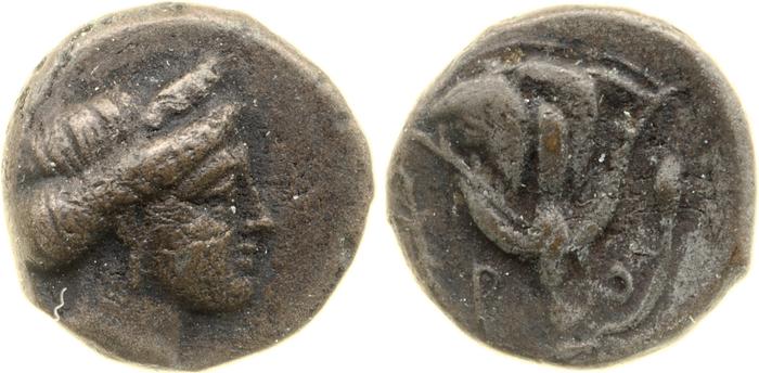 Rhodes Ashton 2001 109-56, реверс, bm