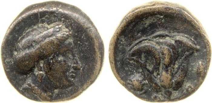 Rhodes Ashton 2001 109-56, реверс, bm