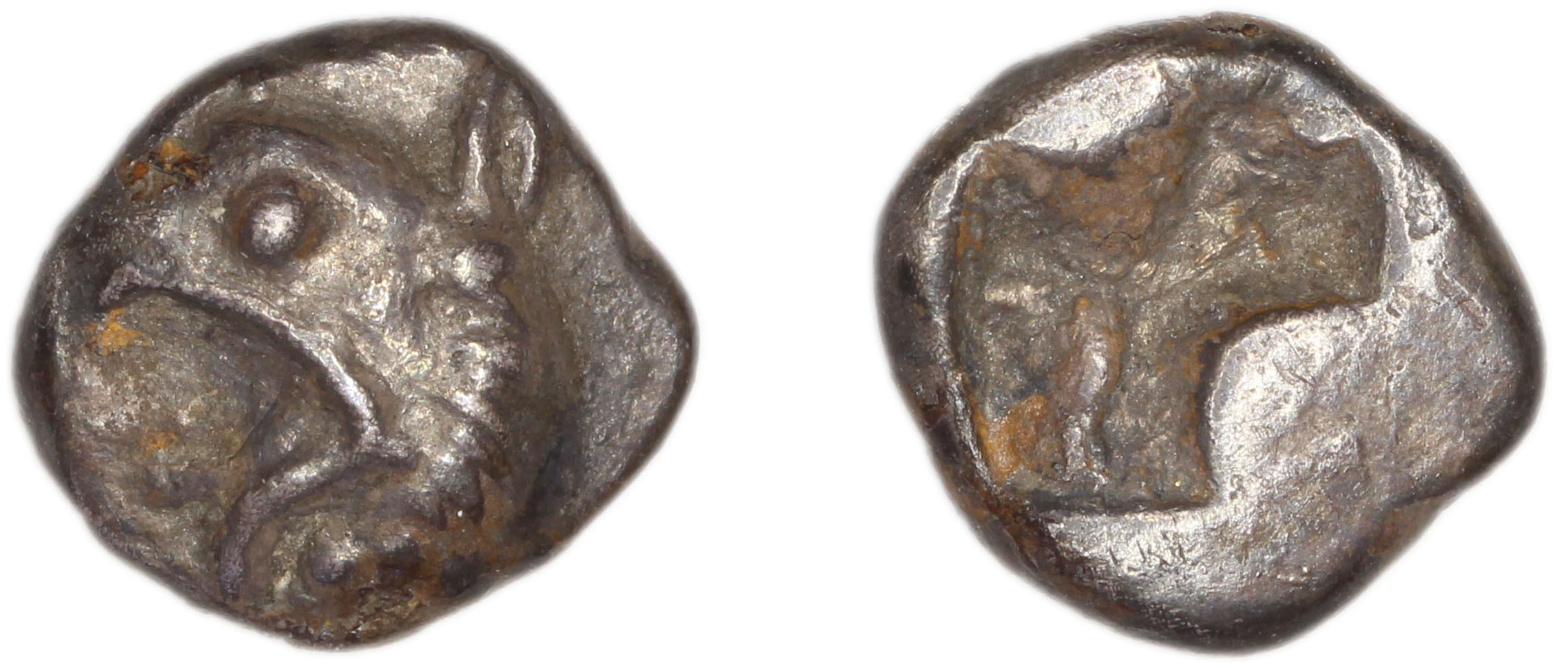 Phocaea Babelon 1907 523-9, аверс, bm
