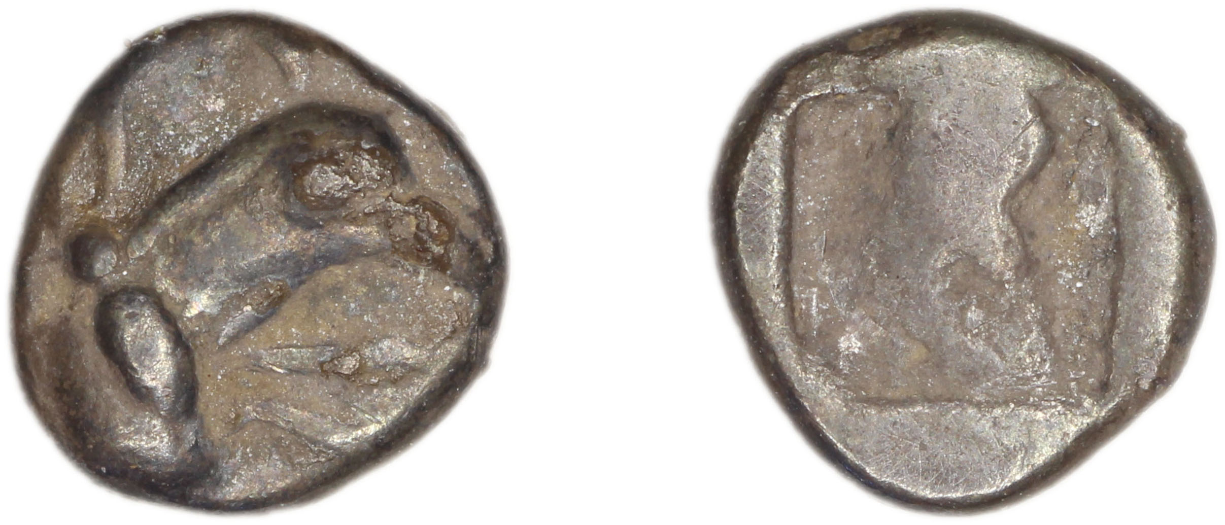 Phocaea Babelon 1907 523-9, аверс, bm