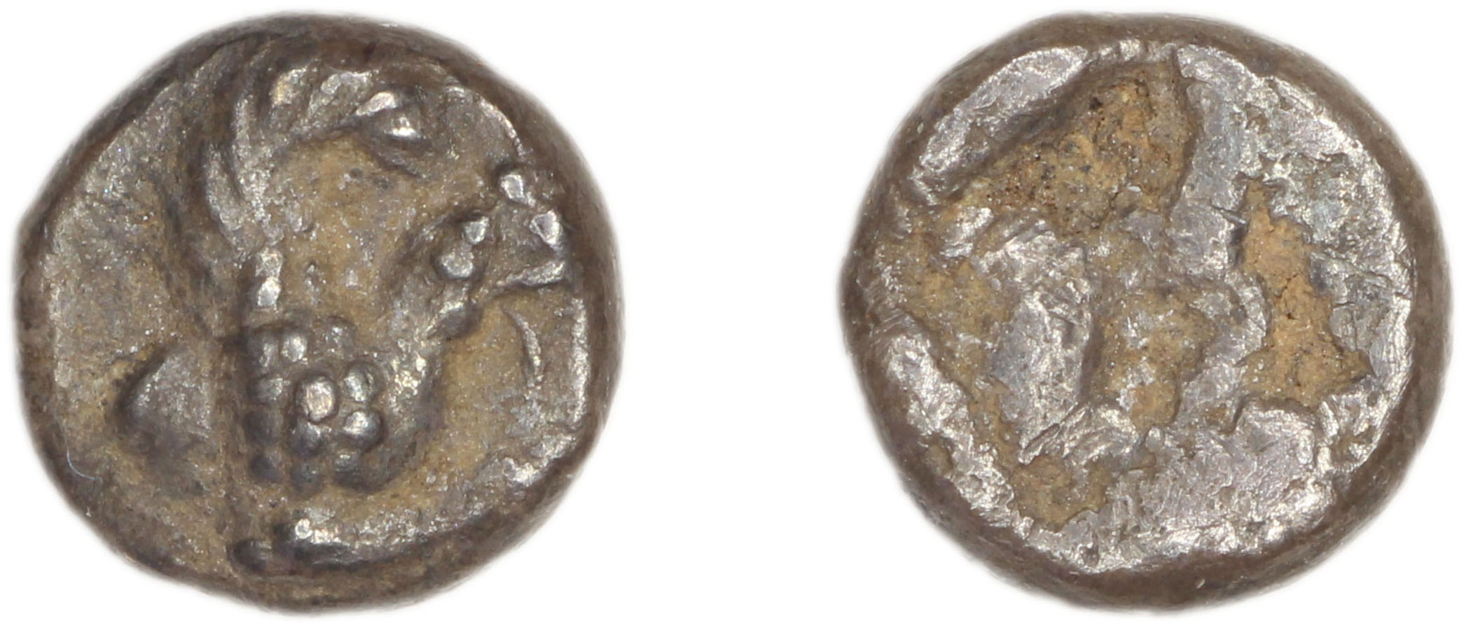 Phocaea Babelon 1907 522, аверс, bm
