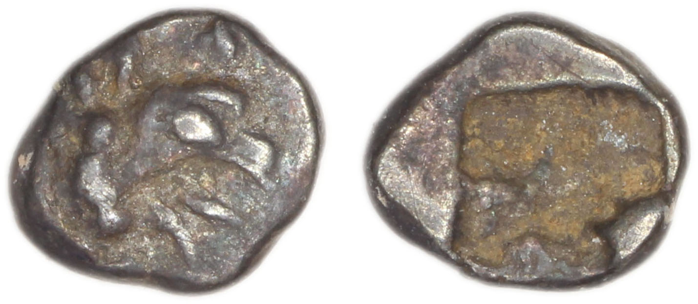 Phocaea Babelon 1907 523-9, аверс, bm