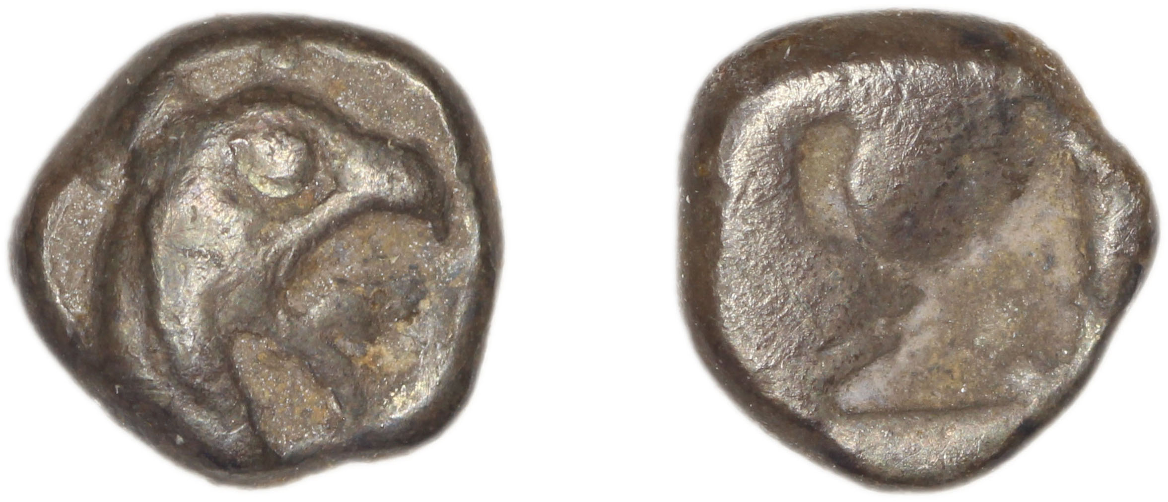 Phocaea Babelon 1907 523-9, аверс, bm