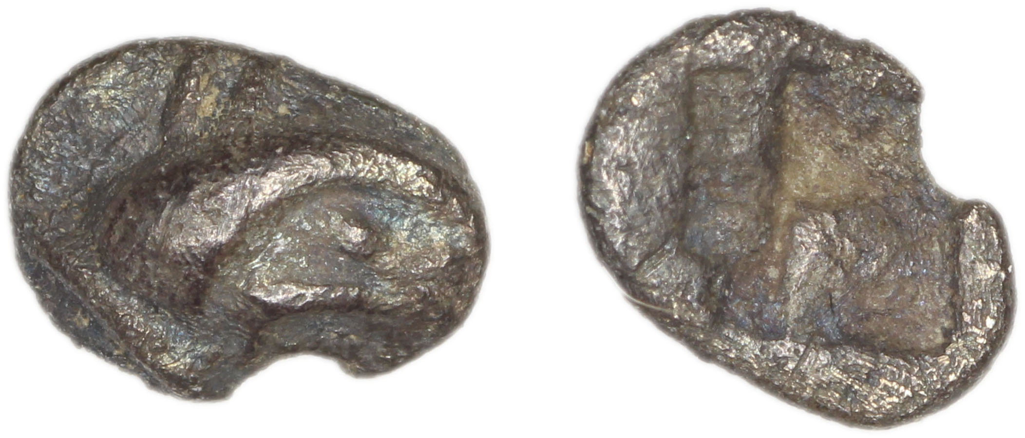 Phocaea Babelon 1907 523-9, аверс, bm