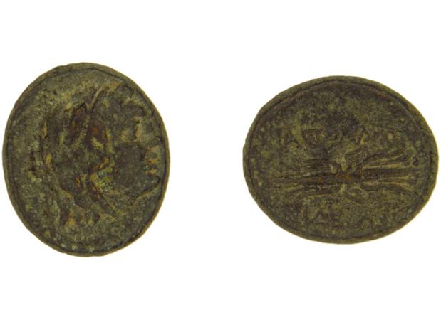 Apollonis Hochard 2020 2.1, реверс, bm