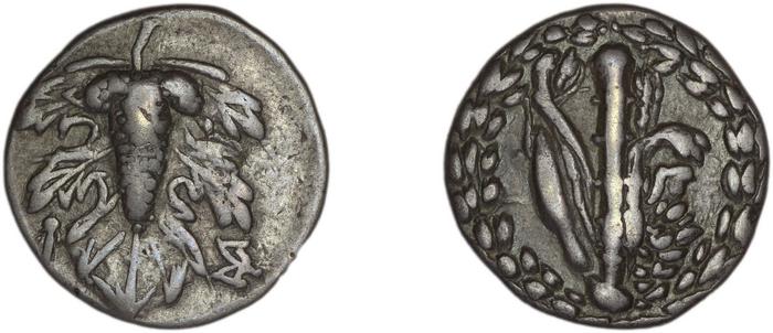 Sardis Kleiner and Noe 1977 1 didrachms, реверс, bm