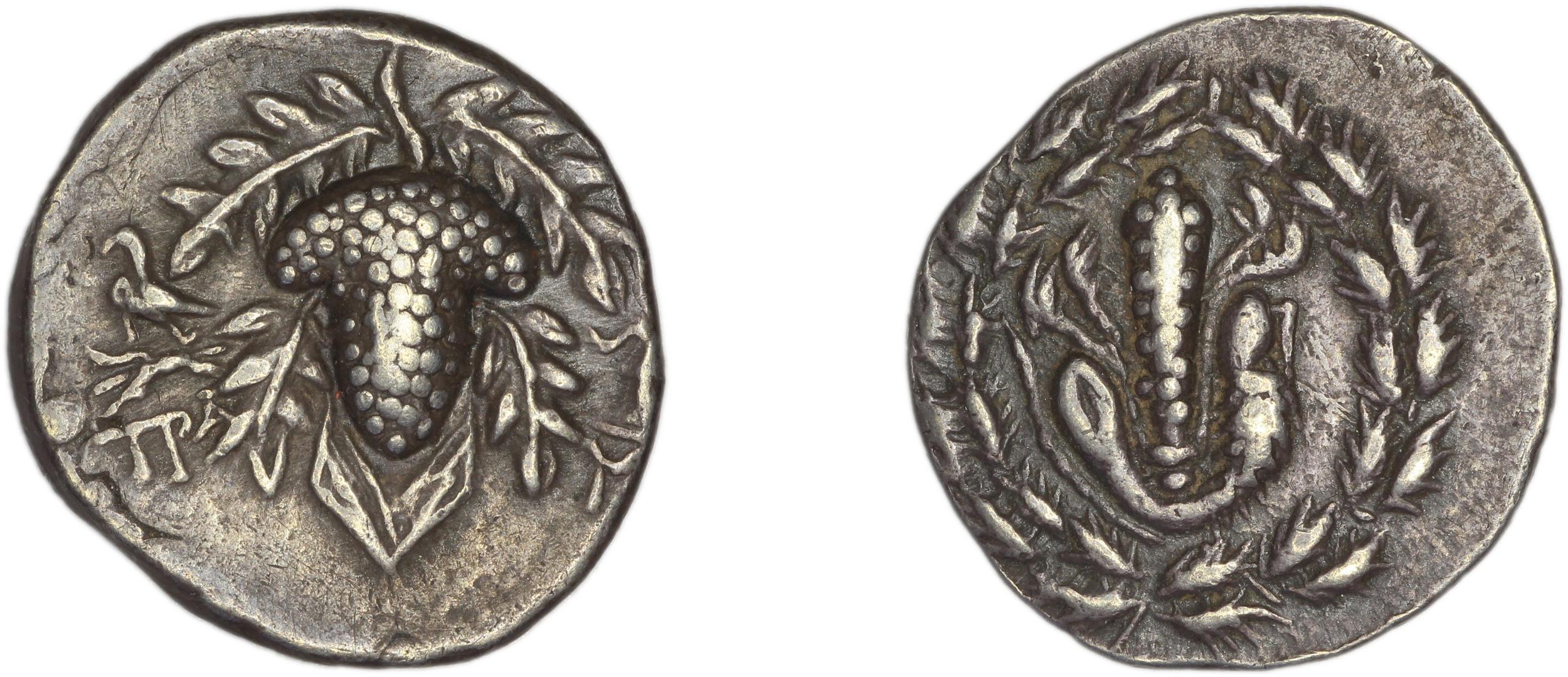 Tralles Kleiner and Noe 1977 35, didrachms, аверс, bm