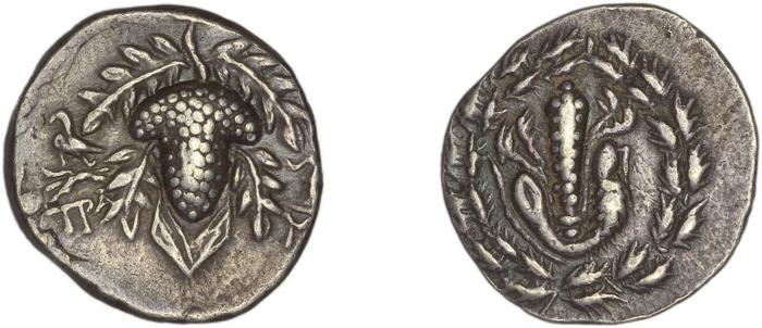 Tralles Kleiner and Noe 1977 35, didrachms, реверс, bm