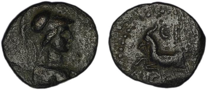 coin rev
