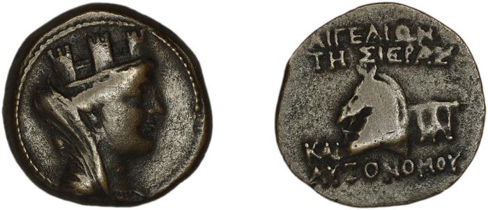coin rev