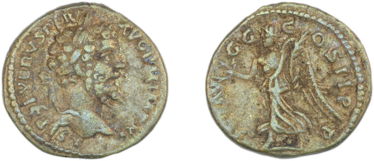 аверс RIC IV Septimius Severus 499