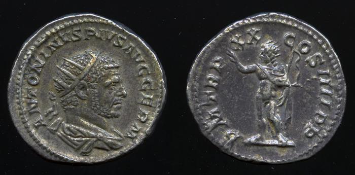 реверс RIC IV Caracalla 293E