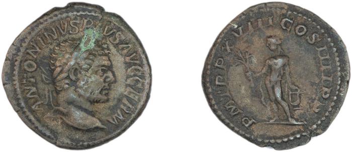 RIC IV Caracalla 254, реверс, bm
