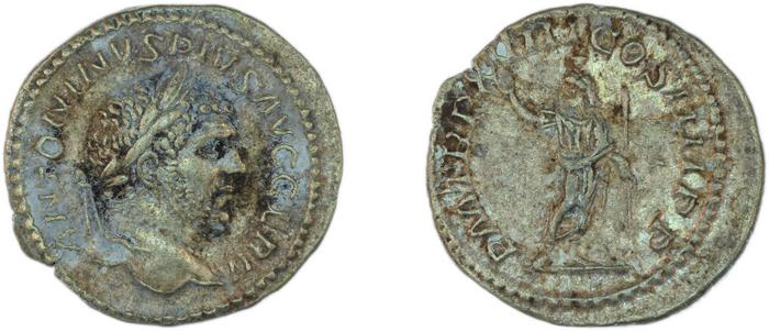 реверс RIC IV Caracalla 263F