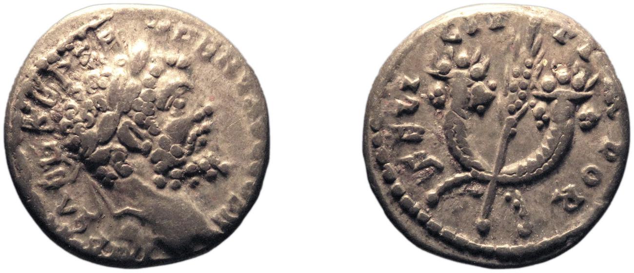 аверс RIC IV Septimius Severus 373