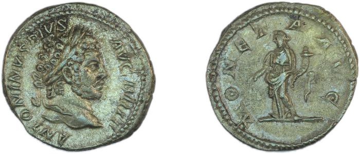 RIC IV Caracalla 224, реверс, bm