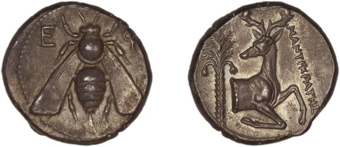 Ephesus Kinns and Holt 2023 Period II, AR VIII, реверс, bm