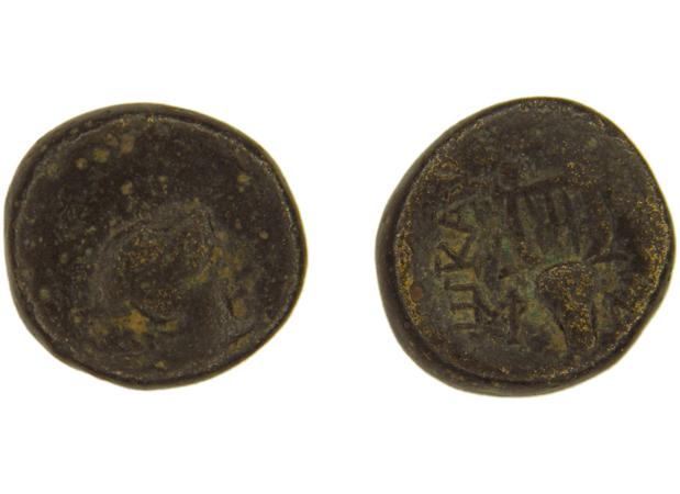 Caystriani BMC Caystriani 6-9, реверс, bm