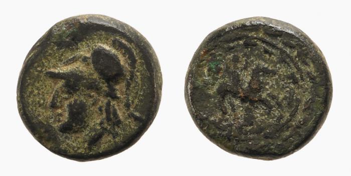 Elaea BMC Elaea 15, реверс, bm