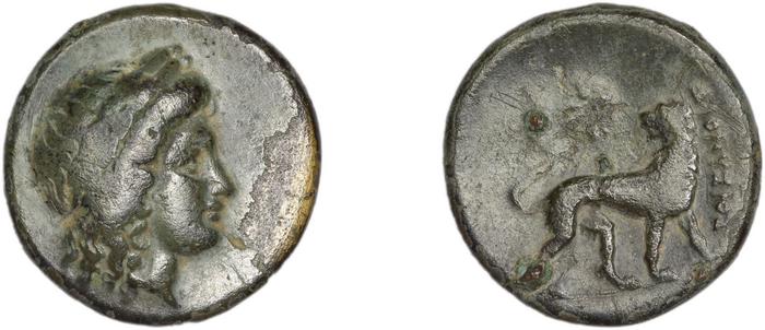 реверс Miletus Marcellesi 2004 6