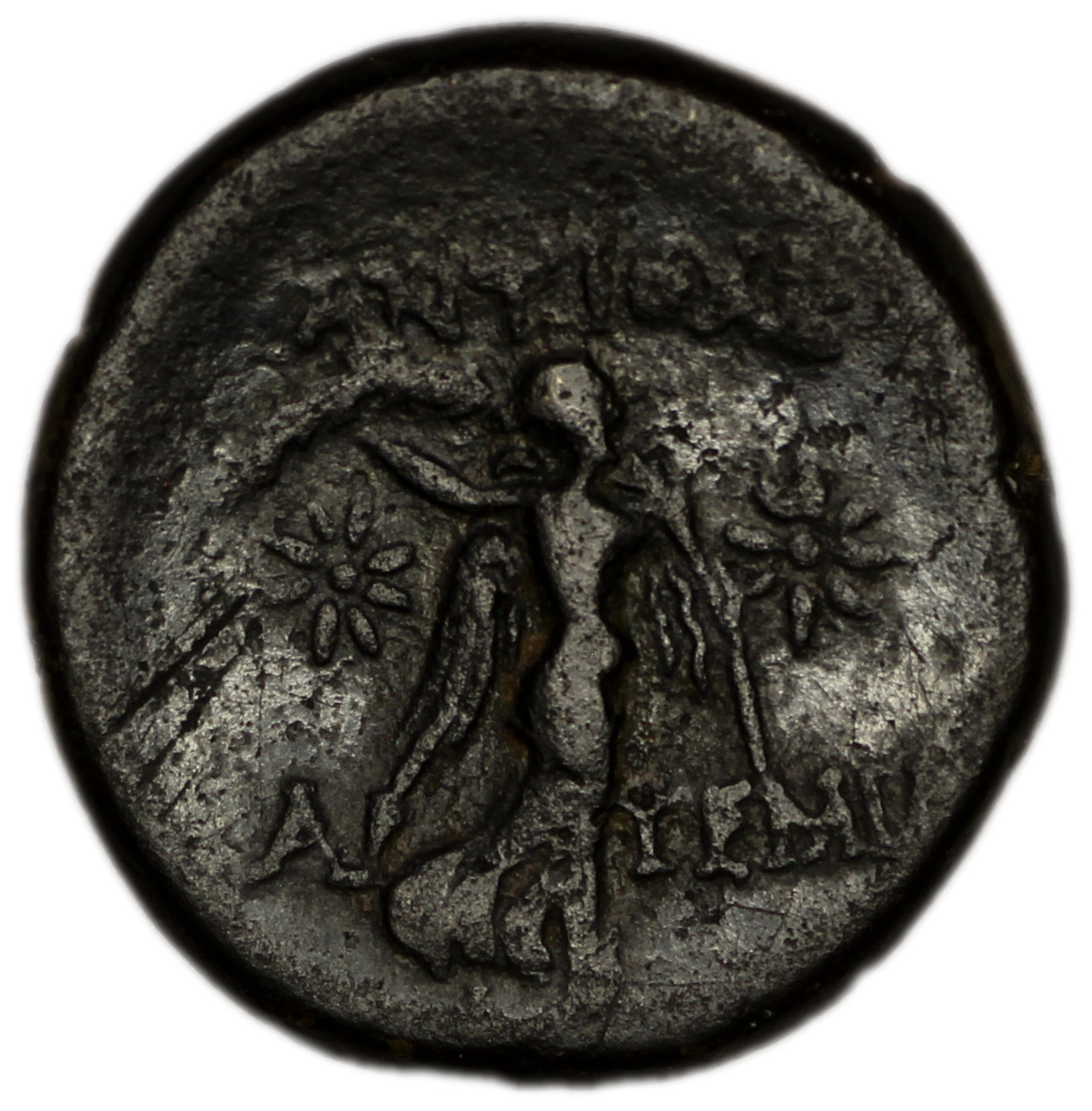 аверс Antioch of Pisidia Imhoof-Blumer 1901-2 p. 356, 1