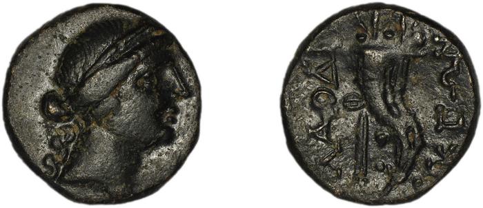 Laodiceia ad Lycum BMC Laodiceia 31-9, реверс, bm