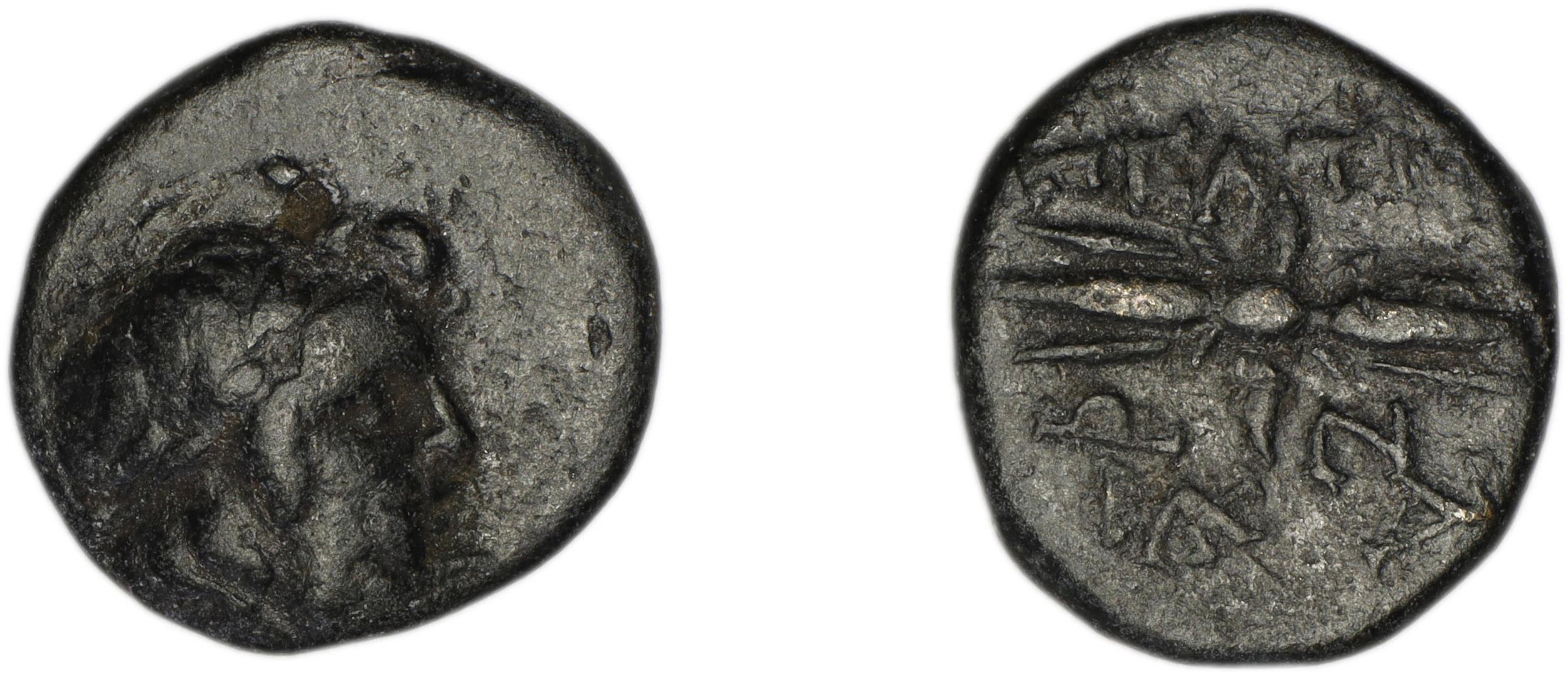 Peltae BMC Peltae 4-6, аверс, bm
