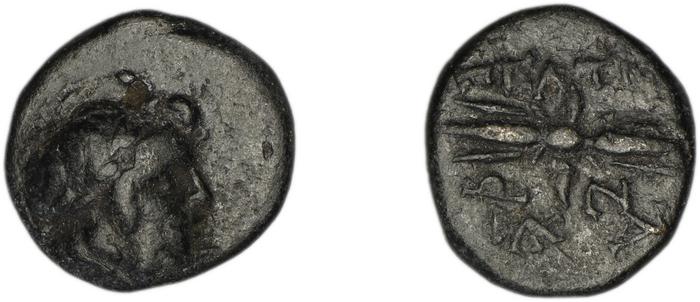 Peltae BMC Peltae 4-6, реверс, bm