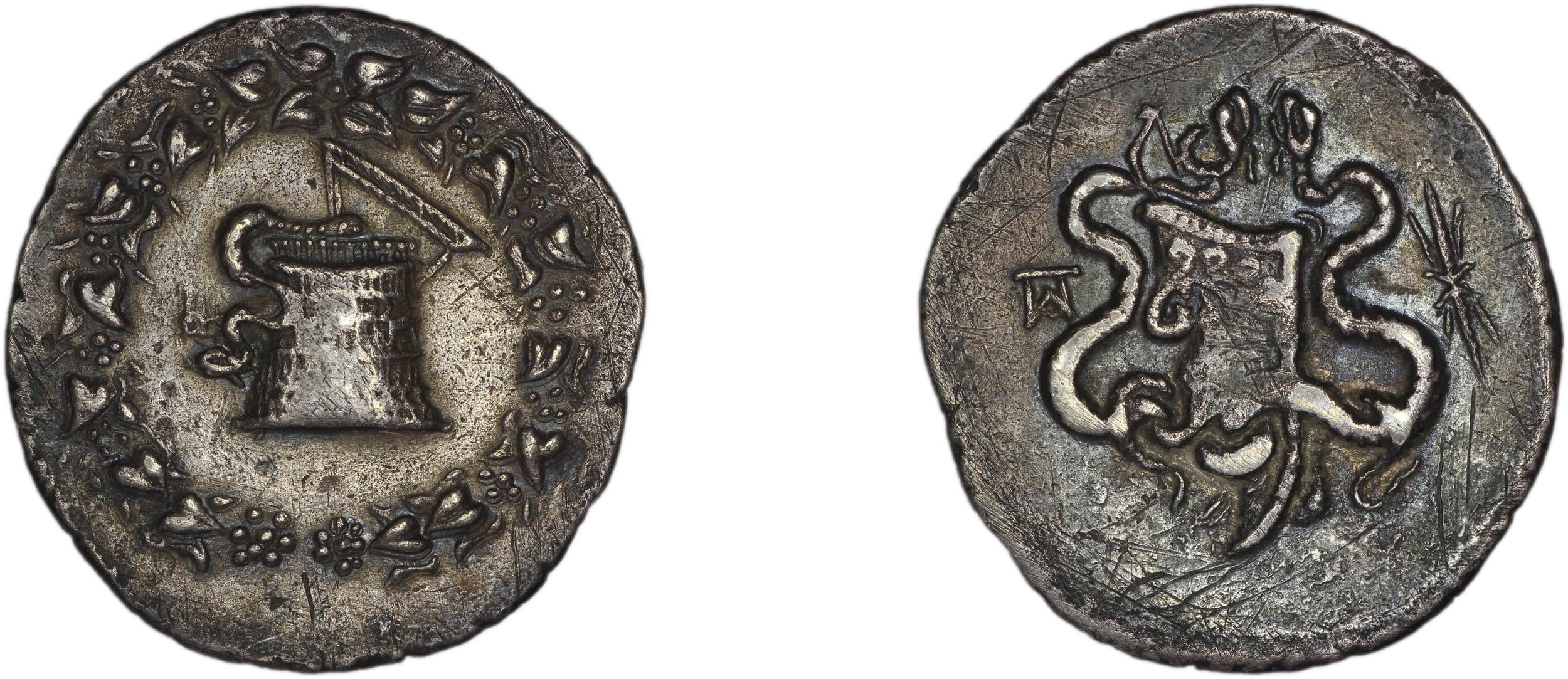 аверс Apamea in Phrygia Kleiner and Noe 1977 10