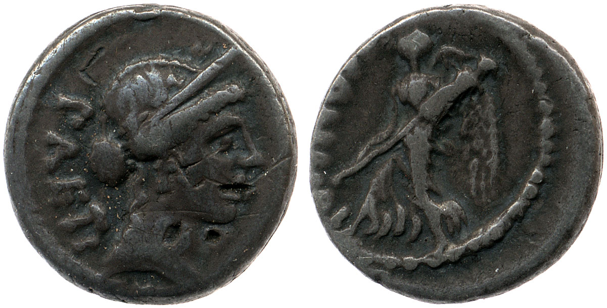 coin obv