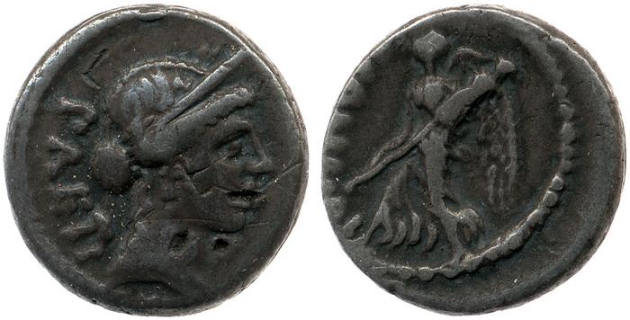 coin rev