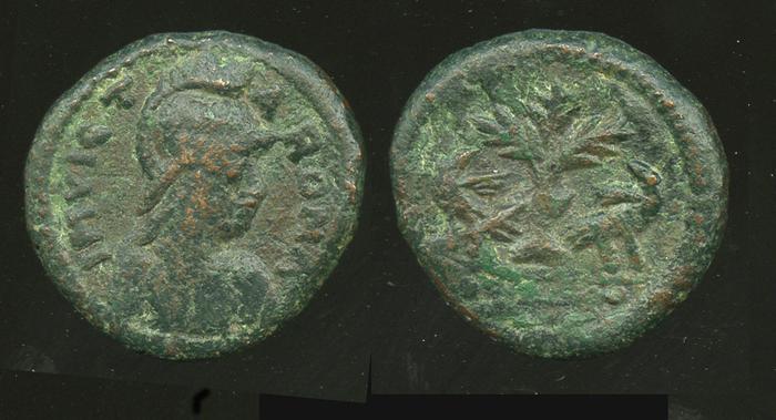Metlich OCOI 83a, реверс, bm