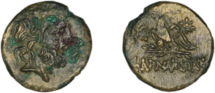 Pharnaceia Waddington 1925 4, реверс, bm