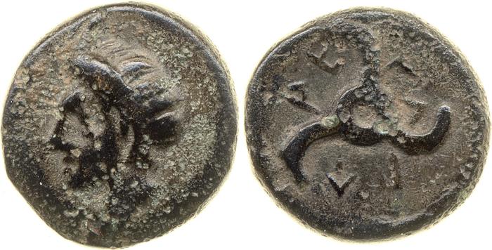 Perikles Lycia Hoff 2017 M244, реверс, bm