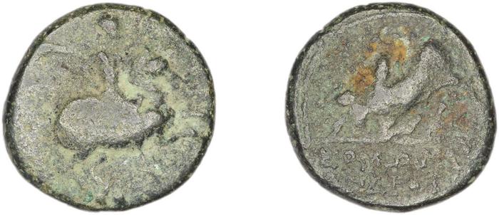 Magnesia ad Maeandrum BMC Magnesia 19-35, реверс, bm