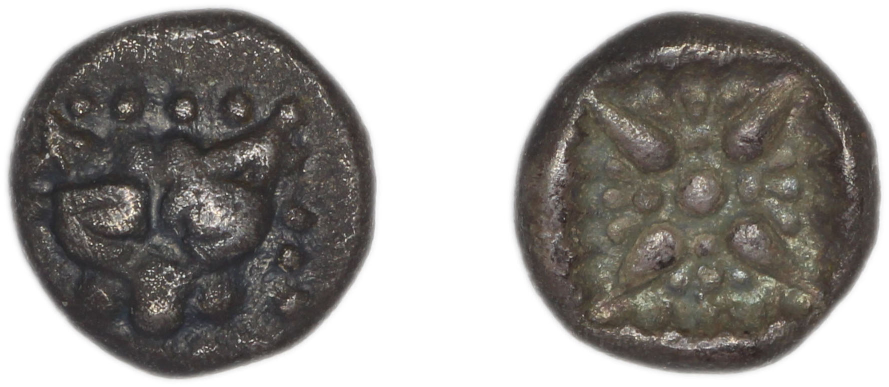 аверс Miletus Babelon 1907 434