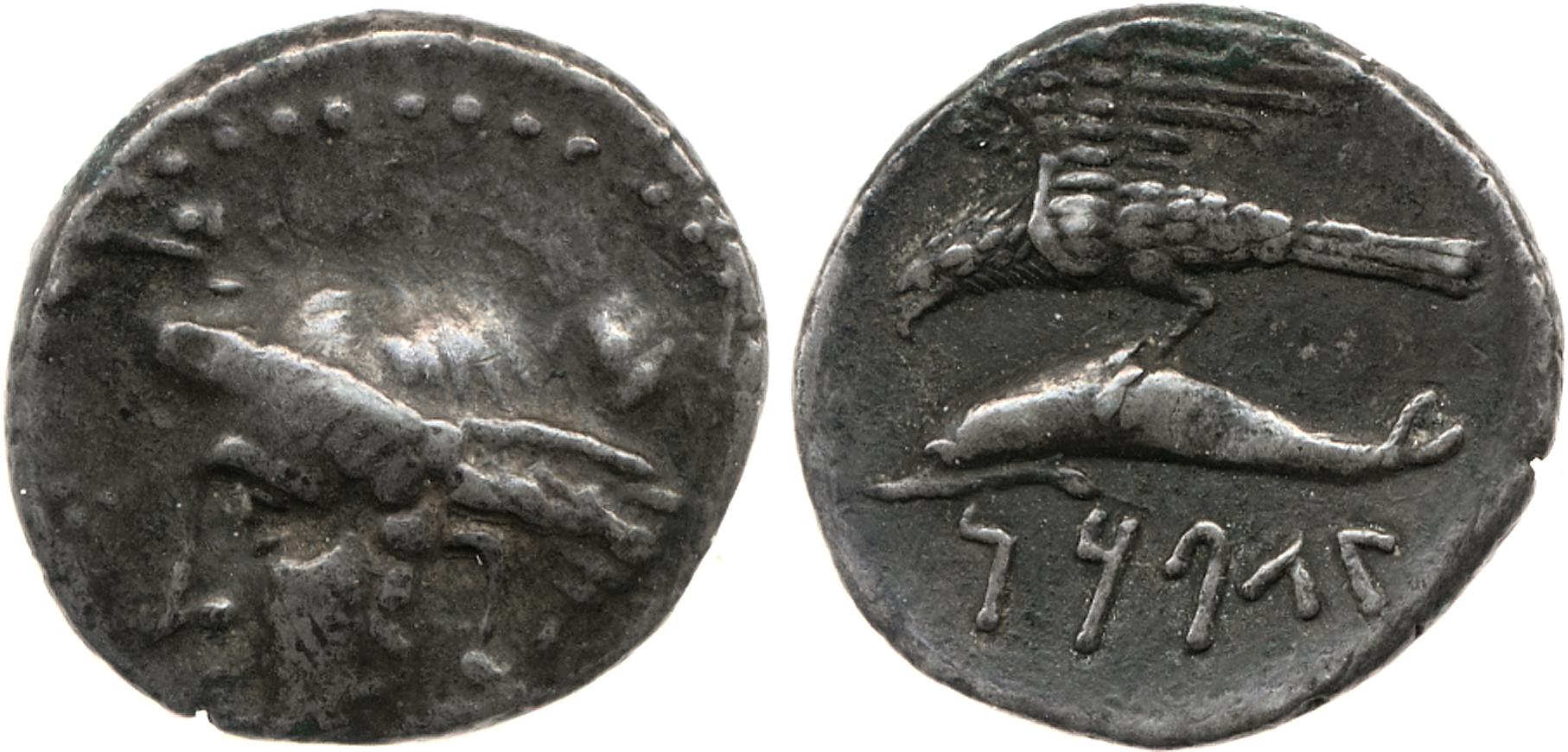 Tyryn Sinope SNG BM Black Sea 1452-1454, аверс, bm