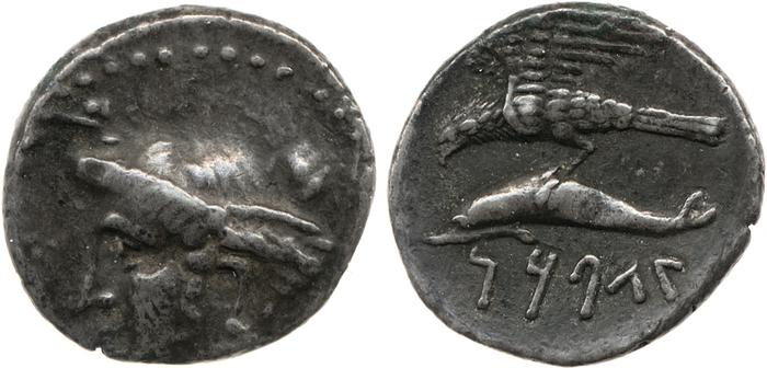 Tyryn Sinope SNG BM Black Sea 1452-1454, реверс, bm
