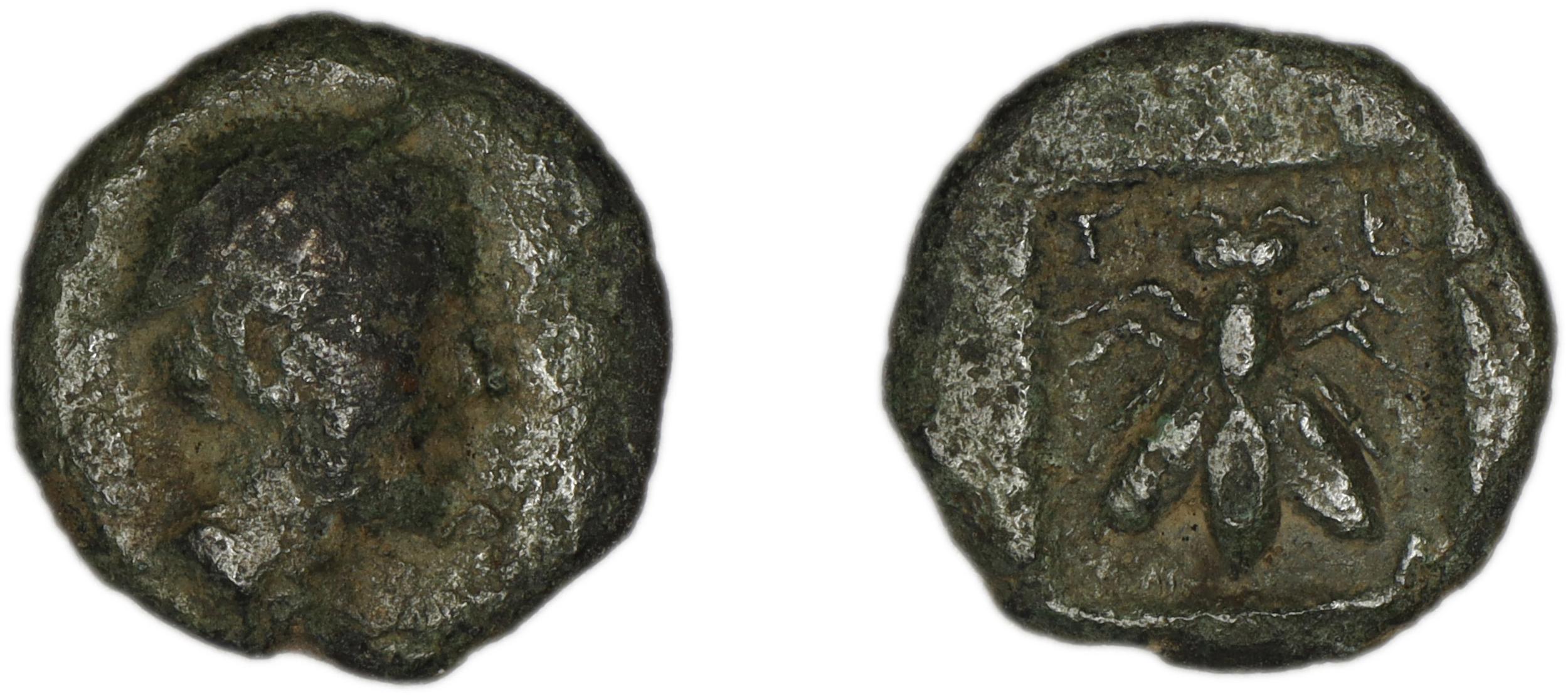 аверс Telmessus Tek 2006 4