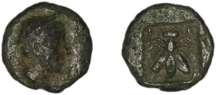 реверс Telmessus Tek 2006 4